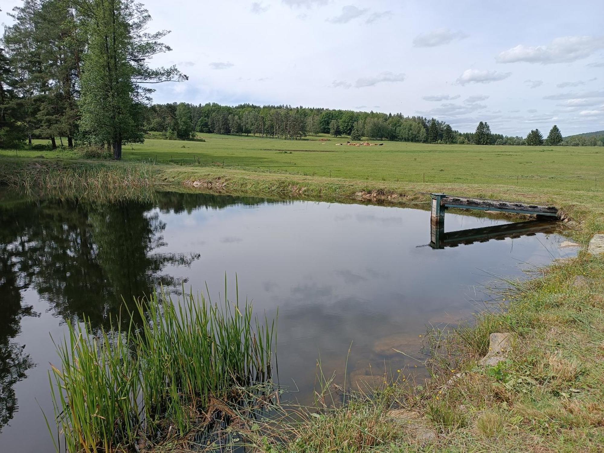 Villa Klidna Lokalita Na Kraji Lesa, Cely Dum S Uschovnu Kol Nová Bystřice Exterior foto
